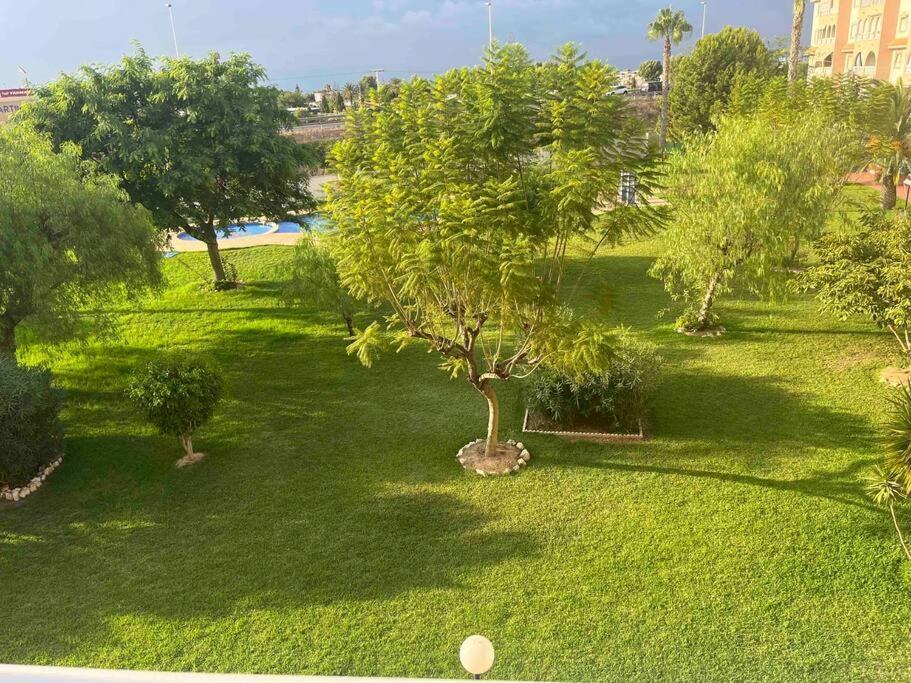 Casa Di Mateo With Garden View And Swimming Pool Leilighet Torrevieja Eksteriør bilde